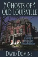 Duchovia starého Louisville: Louisville: Pravdivé príbehy o strašidlách v najväčšej viktoriánskej štvrti v Amerike - Ghosts of Old Louisville: True Stories of Hauntings in America's Largest Victorian Neighborhood