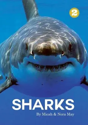 Žraloky - Sharks