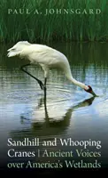 Sandhill and Whooping Cranes (Žeriavy piesočnaté a žeriavy dlhochvosté): Ancient Voices Over America's Wetlands (Starobylé hlasy amerických mokradí) - Sandhill and Whooping Cranes: Ancient Voices Over America's Wetlands