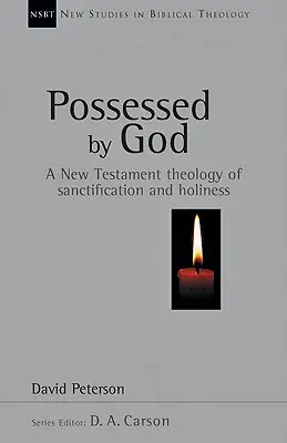 Posadnutí Bohom: Novozákonná teológia posvätenia a svätosti - Possessed by God: A New Testament Theology of Sanctification and Holiness