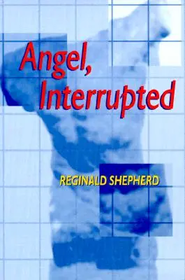 Angel Interrupted (Prerušený anjel) - Angel Interrupted