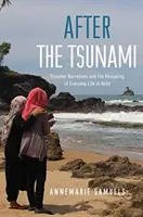 Po cunami: Naratívy o katastrofe a pretváranie každodenného života v Acehu - After the Tsunami: Disaster Narratives and the Remaking of Everyday Life in Aceh