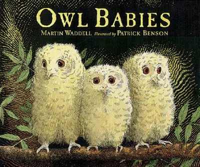 Sovie mláďatá - Owl Babies