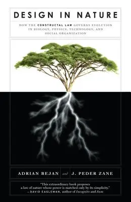 Dizajn v prírode: Ako konštrukčný zákon riadi evolúciu v biológii, fyzike, technológii a spoločenských organizáciách - Design in Nature: How the Constructal Law Governs Evolution in Biology, Physics, Technology, and Social Organizations