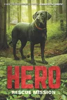 Hrdina: Záchranná misia - Hero: Rescue Mission