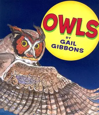 Sovy - Owls