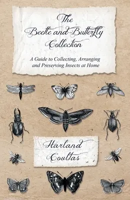 Zbierka chrobákov a motýľov - Sprievodca domácim zberom, aranžovaním a uchovávaním hmyzu - The Beetle and Butterfly Collection - A Guide to Collecting, Arranging and Preserving Insects at Home