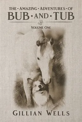 Dobrodružstvá Bubu a Tubu: Prvý zväzok - The Adventures of Bub & Tub: Volume One