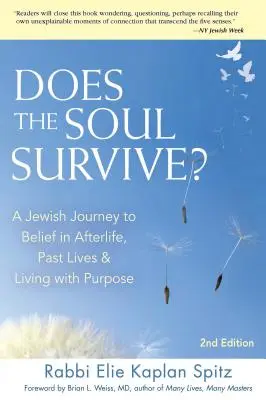 Prežije duša? (2. vydanie): Židovská cesta k viere v posmrtný život, minulé životy a život s cieľom - Does the Soul Survive? (2nd Edition): A Jewish Journey to Belief in Afterlife, Past Lives & Living with Purpose