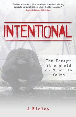 Zámerne: Nepriateľská pevnosť pre menšinovú mládež (The Enemy's Stronghold on Minority Youth) - Intentional: The Enemy's Stronghold on Minority Youth