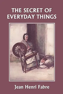 Tajomstvo každodenných vecí (Yesterday's Classics) - The Secret of Everyday Things (Yesterday's Classics)