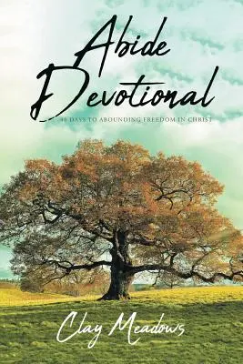 Pobožnosť Zostaň: 40 dní k bohatej slobode v Kristovi - Abide Devotional: 40 Days to Abounding Freedom in Christ