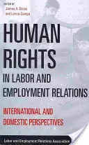 Ľudské práva v pracovných a zamestnaneckých vzťahoch: Medzinárodné a domáce perspektívy - Human Rights in Labor and Employment Relations: International and Domestic Perspectives