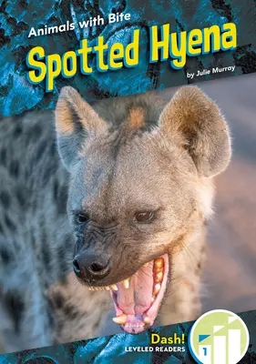 Hyena škvrnitá - Spotted Hyena