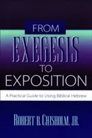 Od exegézy k výkladu: Praktická príručka na používanie biblickej hebrejčiny - From Exegesis to Exposition: A Practical Guide to Using Biblical Hebrew