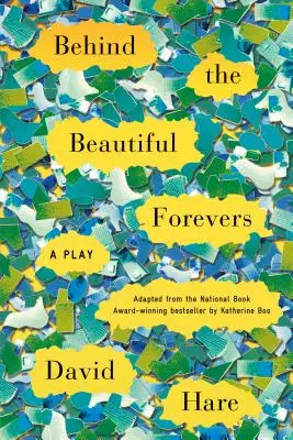 Za krásnymi lícami: Hra - Behind the Beautiful Forevers: A Play