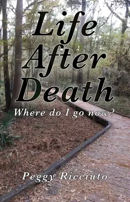 Život po smrti: Kam mám ísť teraz? - Life After Death: Where do I go now