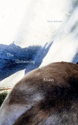 Odmietnutie Aliasovho mena - The Unnaming of Aliass