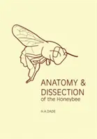 Anatómia a pitva včely medonosnej - Anatomy and Dissection of the Honeybee
