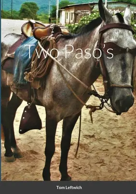 Dve pasáže - Two Paso's