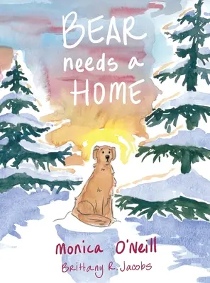 Medveď potrebuje domov - Bear Needs A Home