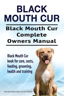 Čierne ústa Cur. Black Mouth Cur Complete Owners Manual. Kniha Black Mouth Cur pre starostlivosť, náklady, kŕmenie, starostlivosť, zdravie a výcvik. - Black Mouth Cur. Black Mouth Cur Complete Owners Manual. Black Mouth Cur book for care, costs, feeding, grooming, health and training.