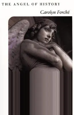 Anjel histórie - The Angel of History
