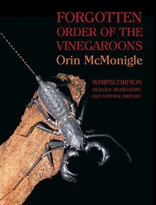 Zabudnutý rád vinegrádovcov: Biológia, chov a prírodopis bičíkovcov - Forgotten Order of the Vinegaroons: Whipscorpion Biology, Husbandry, and Natural History