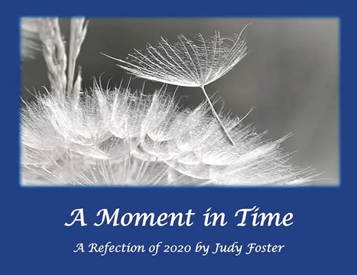 Chvíľa v čase: reflexia roku 2020 - A Moment in Time: A Reflection of 2020