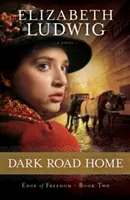 Temná cesta domov - Dark Road Home