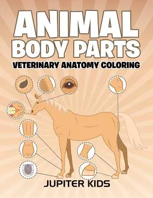 Časti tela zvierat: Veterinárna anatómia Omaľovánky - Animal Body Parts: Veterinary Anatomy Coloring