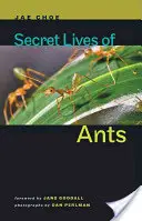 Tajný život mravcov - Secret Lives of Ants