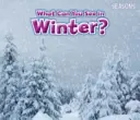 Čo môžete vidieť v zime? - What Can You See In Winter?