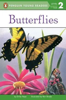Motýle - Butterflies