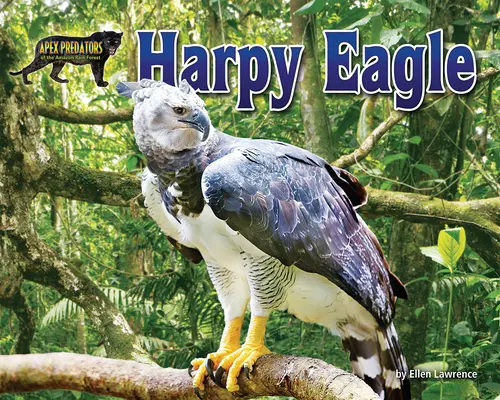 Orol harpyjský - Harpy Eagle