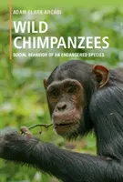 Divoké šimpanzy: Sociálne správanie ohrozeného druhu - Wild Chimpanzees: Social Behavior of an Endangered Species