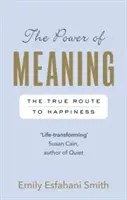 Sila zmyslu - Pravá cesta k šťastiu - Power of Meaning - The true route to happiness