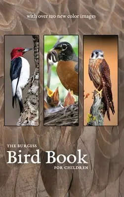Burgessova kniha o vtákoch s novými farebnými obrázkami - The Burgess Bird Book with new color images
