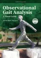 Pozorovacia analýza chôdze: Vizuálny sprievodca - Observational Gait Analysis: A Visual Guide