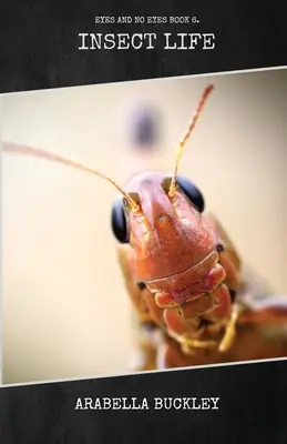 Život hmyzu - Insect Life