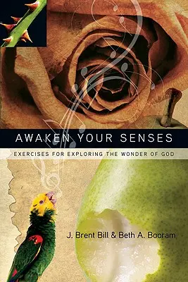 Prebuďte svoje zmysly: Cvičenia na objavovanie Božieho zázraku - Awaken Your Senses: Exercises for Exploring the Wonder of God