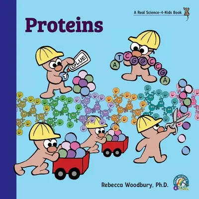Proteíny - Proteins