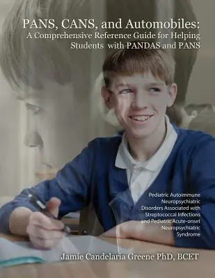 Panvice, plechovky a automobily: Pandy a panvice: Komplexná referenčná príručka na pomoc študentom s panvicami a panvičkami - Pans, Cans, and Automobiles: A Comprehensive Reference Guide for Helping Students with Pandas and Pans