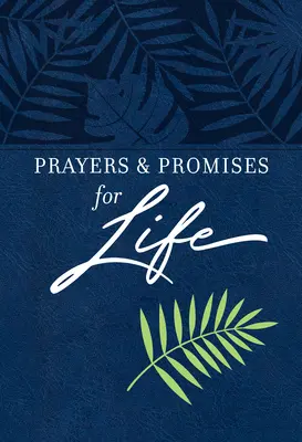 Modlitby a zasľúbenia pre život - Prayers & Promises for Life