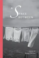 Priestor medzi - A Space Between