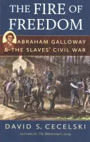 Oheň slobody: Oheň ohňa: Abraham Galloway a občianska vojna otrokov - The Fire of Freedom: Abraham Galloway and the Slaves' Civil War