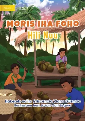 Život na dedine - zber kokosových orechov - Moris Iha Foho - Hili Nuu - Living in the Village - Harvesting Coconuts - Moris Iha Foho - Hili Nuu