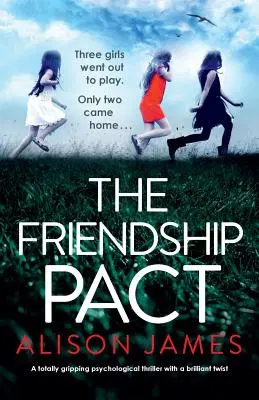 Kamarátka zo školy: Absolútne strhujúci psychologický triler s brilantným zvratom - The School Friend: A totally gripping psychological thriller with a brilliant twist