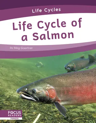 Životný cyklus lososa - Life Cycle of a Salmon