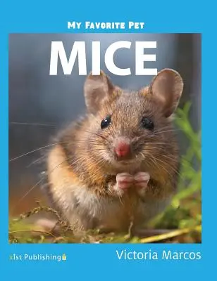 Moje obľúbené zvieratko: Myši - My Favorite Pet: Mice